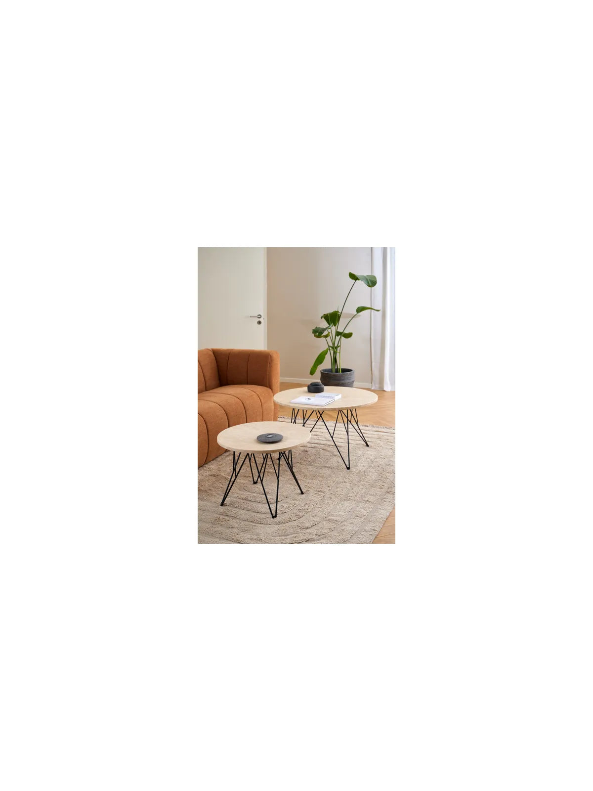 Runder Holz Couchtisch Prunus Beige