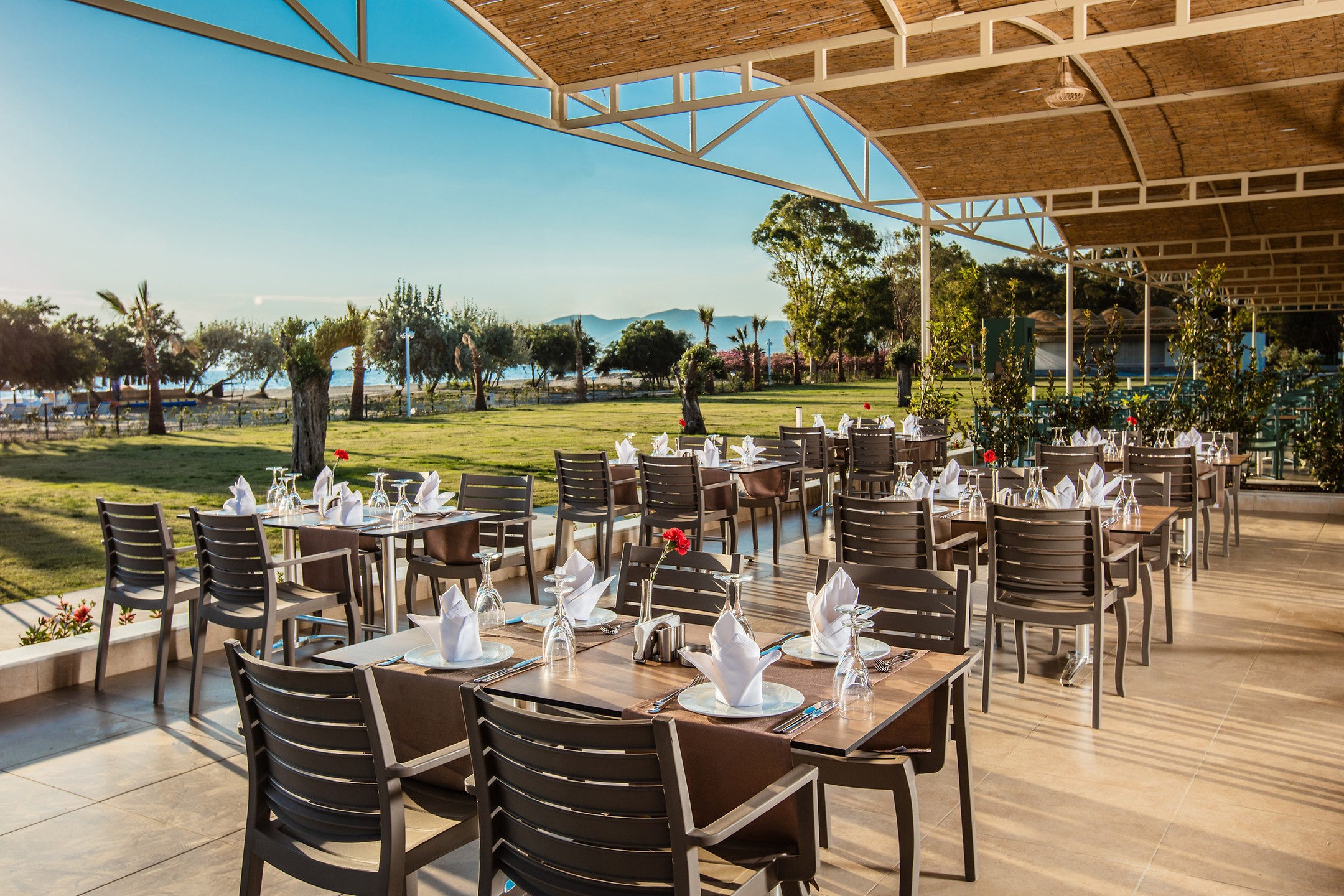 Zeus Wood Kollektion